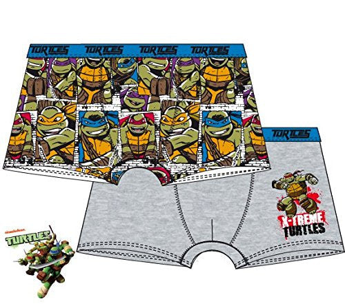 nickelodeon teenage mutant ninja turtules 2pair pack boxers