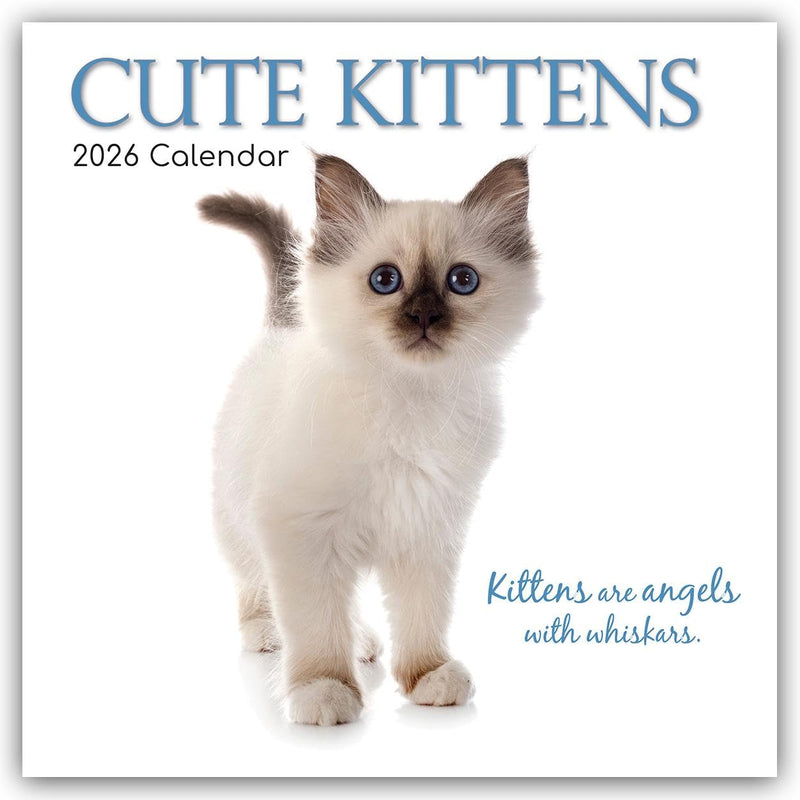 Cute Kittens 2026 - 16-Month Calendar: