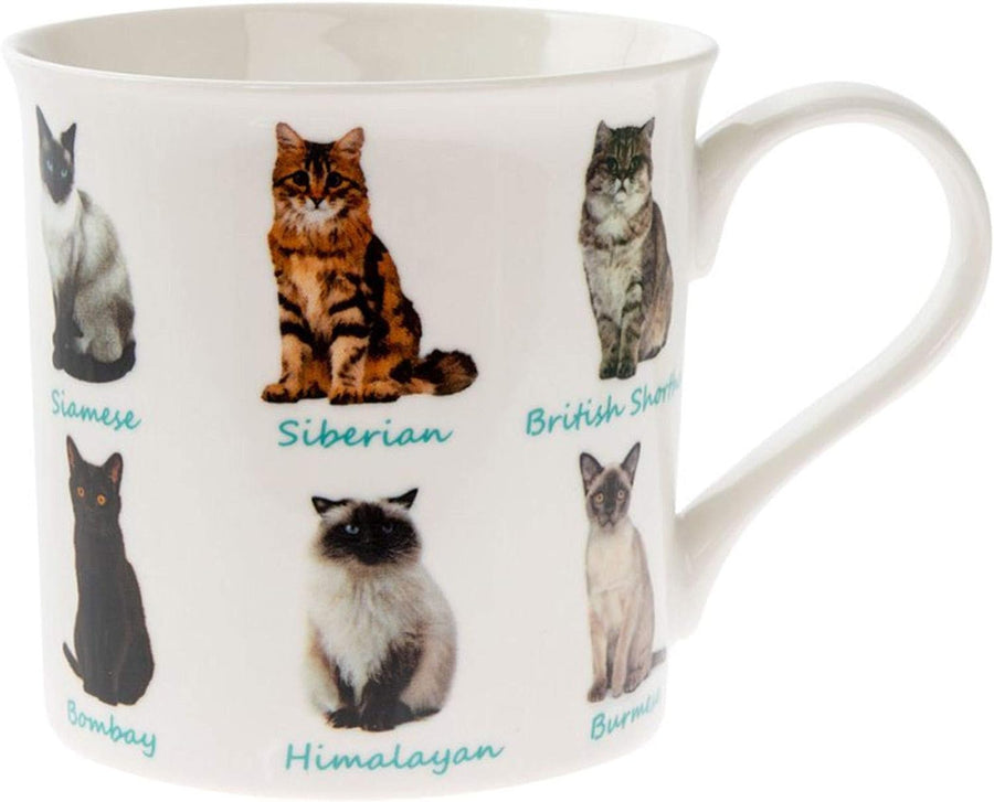 Leonardo Cats Mug, Fine China, Multicolour, 12 x 9 x 8 cm, 225 ml