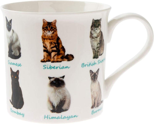 Leonardo Cats Mug, Fine China, Multicolour, 12 x 9 x 8 cm, 225 ml