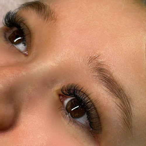 6D Clover Lash Single Length 16 Row Tray