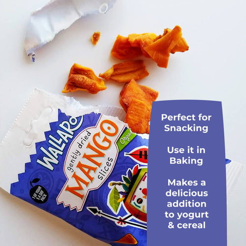 Organic Gently Dried Mango Slices