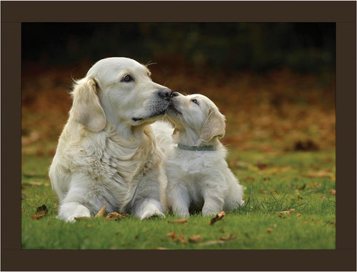Golden Retrievers Faux Leather Lap Tray