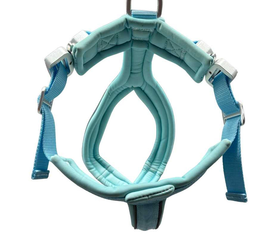 The 2.5cm BTactical™ Slip on Harness | Pastel Blue