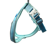 The 2.5cm BTactical™ Slip on Harness | Pastel Blue