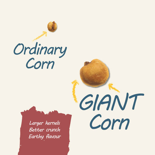 Roasted Peruvian Giant Corn Kernels - Sea Salt