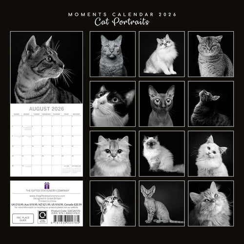 Black & White Cat Portraits 2026 Calendar 16 Month Family Square Wall 2026 UK | Planner with Large Grid for Home or Office Organisation - 2026/2025 UK