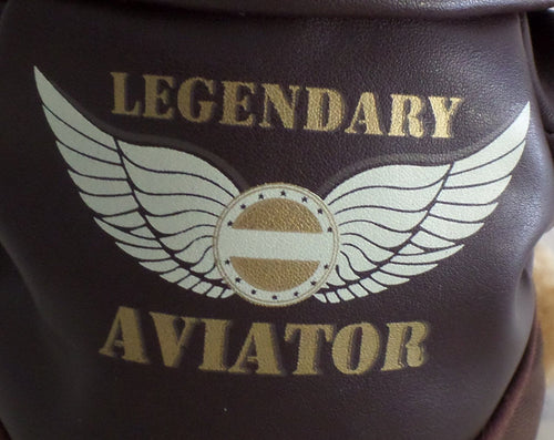 legendary mr plane aviator bear