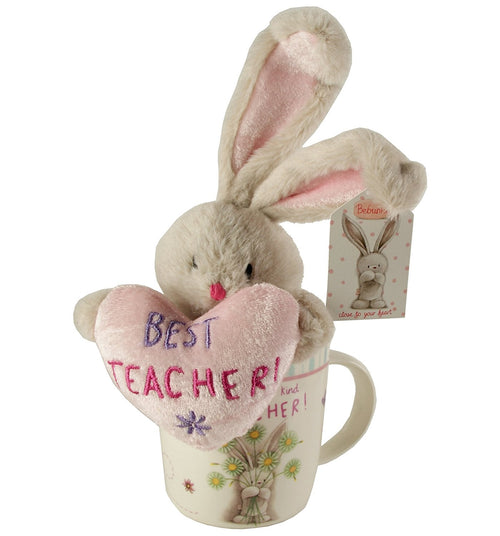 Best Teacher Mug and Soft Bunny Teddy Gift Set