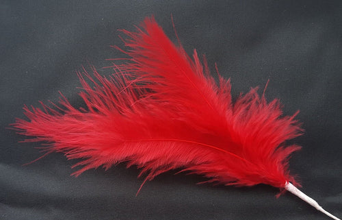 Coloured Feathers Wired 3 per Stem x 6 Stems - Red