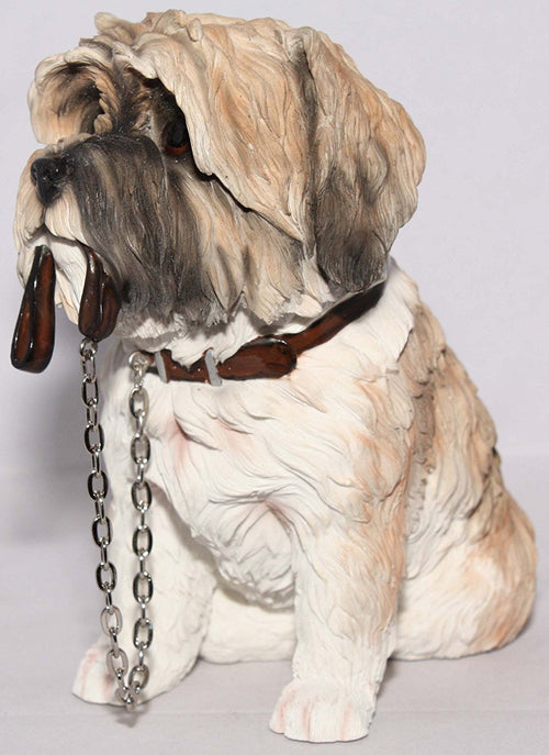 Brown & White Shih Tzu Sitting With Lead In Mouth - Walkies