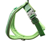 The 2.5cm BTactical™ Slip on Harness | Pastel Green