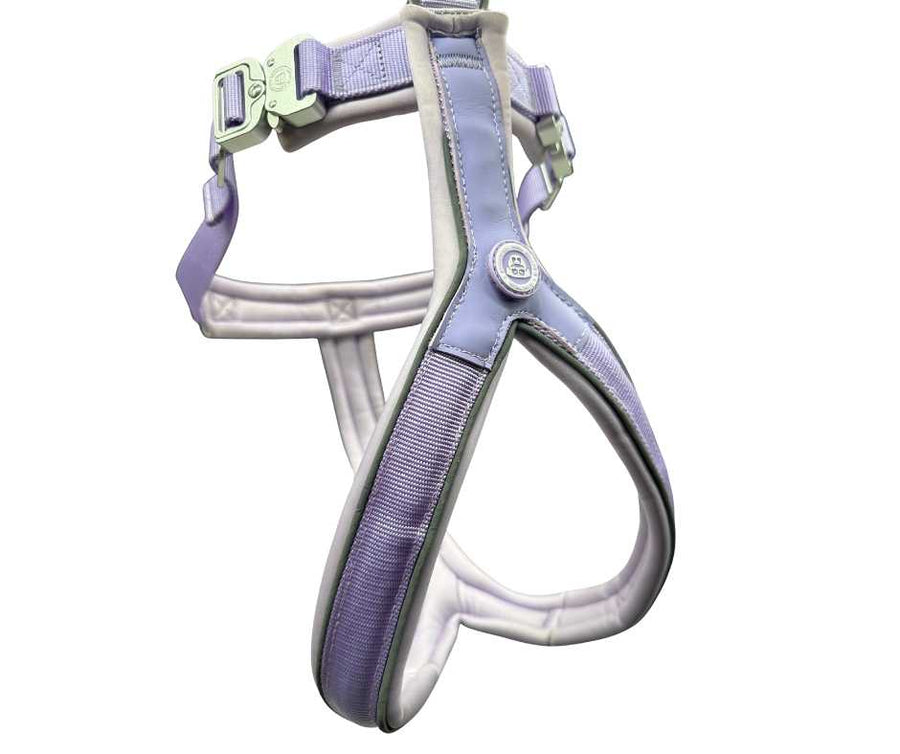 The 2.5cm BTactical™ Slip on Harness| Pastel Purple