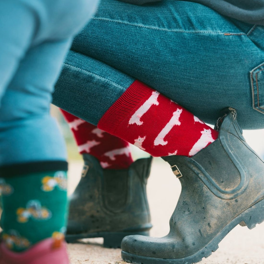 Pig Bamboo Socks