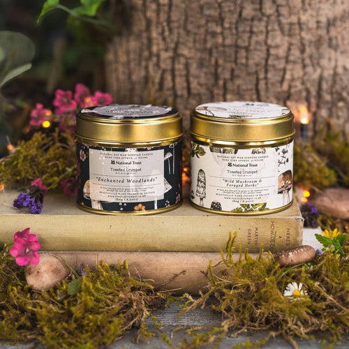 Enchanted Woodlands Candle in a Matt Gold Tin