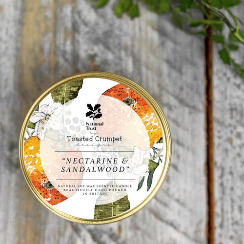 Nectarine & Sandalwood Candle in a Matt Gold Tin