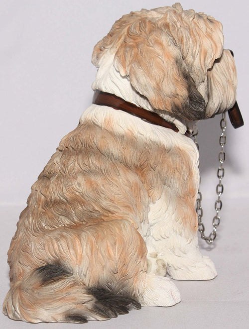 Brown & White Shih Tzu Sitting With Lead In Mouth - Walkies