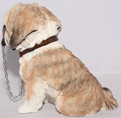 Brown & White Shih Tzu Sitting With Lead In Mouth - Walkies
