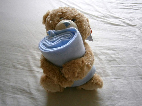 keel cuddle bear with blanket 25 cm