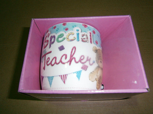 special teacher multicoloured cute teddy bear mug