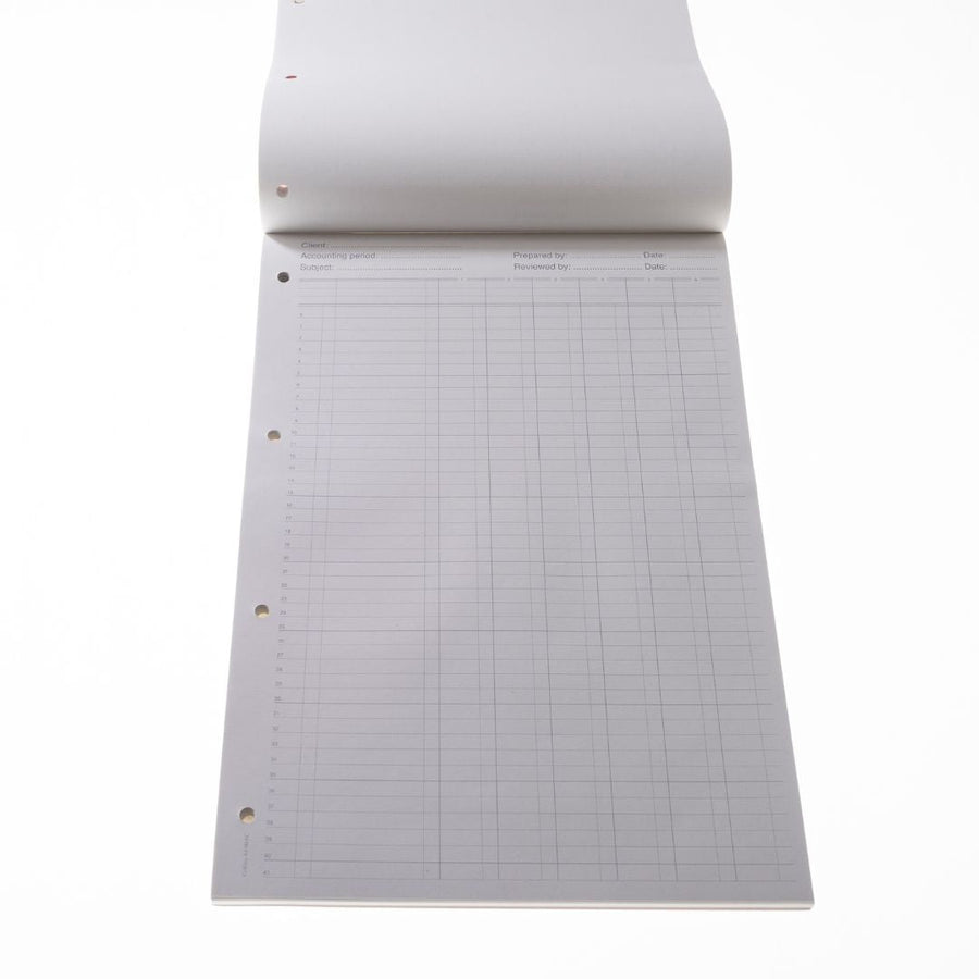 Cathedral - A4 Analysis Pad 6 Cash Columns  - Red (A4/90/6C)