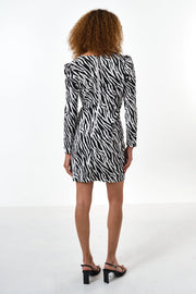Anala Zebra Print Long Sleeve Mini Dress