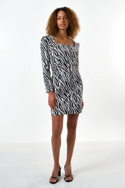 Anala Zebra Print Long Sleeve Mini Dress