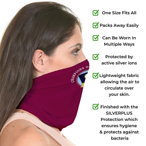 Holte Enders Euro Champions - Football Legends - Snood