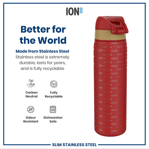 Leak Proof NFL Water Bottle, Stainless Steel, San Francisco 49ers, 600ml (20oz)