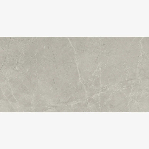 Bakuna Silver Stone Porcelain Tile