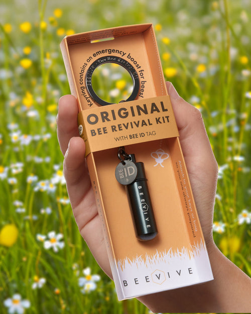 Bee Revival Kit with Bee ID Tag 🐝