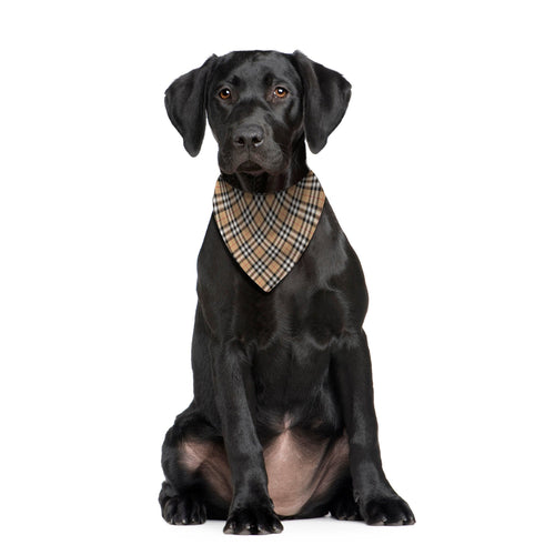 Beige Tartan - Dog Bandana - 4 Sizes