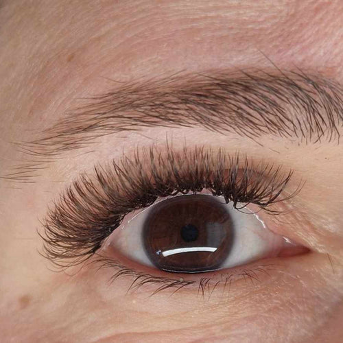 Brown Fairy Lash 16 Row Mixed Tray