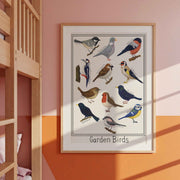 Garden British Birds Art Print-: Multiple Sizes available