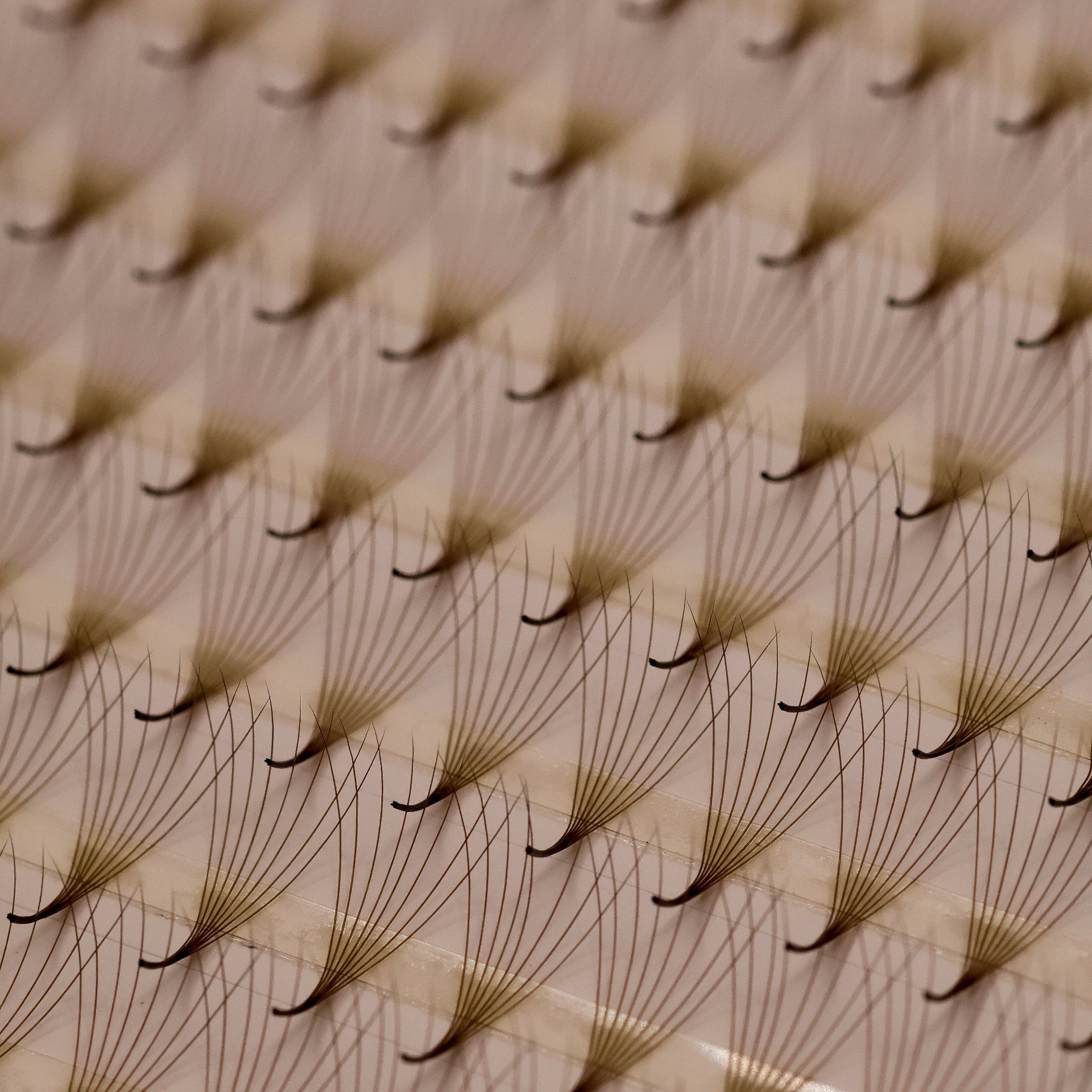 Platinum Brown Promade Tray 920 Fans