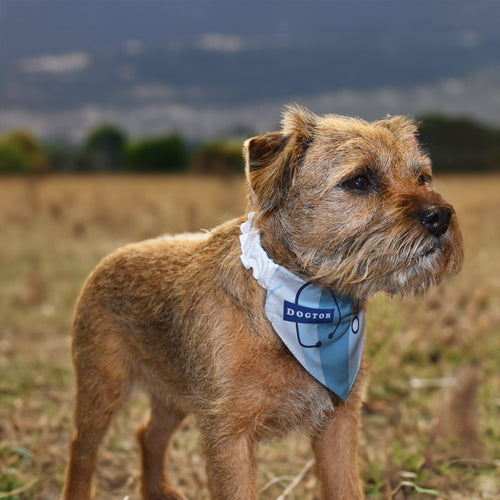 Dogtor - Dog Bandana - 4 Sizes