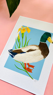 Mallard Duck Art Print- British Wildlife Illustration for Nature Lovers