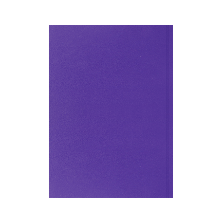 2026-2027 - Mid/Academic Year Planner with Appointments - 13 Month A4 Day-to-Page Diary - Collins Debden Essential Range