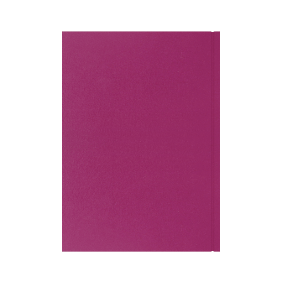 2026-2027 - Mid/Academic Year Planner with Appointments - 13 Month A4 Day-to-Page Diary - Collins Debden Essential Range