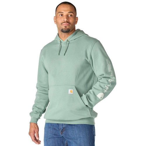 Carhartt K288 Loose Fit Midweight Logo Sleeve Graphic Hoodie NEW 2025 COLOURS