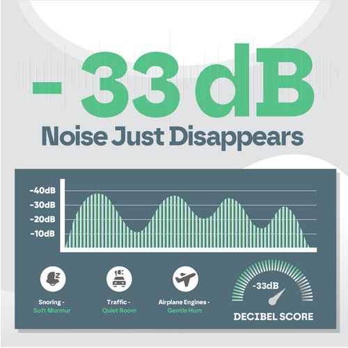 Sleep Earplugs