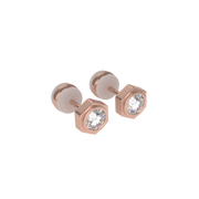 Unity earrings