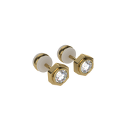 Unity earrings