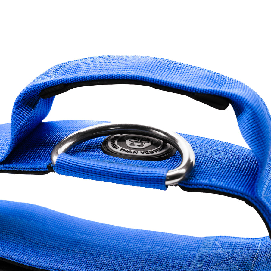 5cm Nylon BTactical™ Collar | Royal Blue