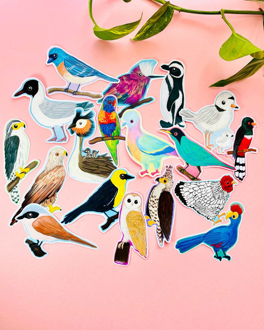 Pastel Pigeon Pink Necked Green Pigeon Vinyl Sticker