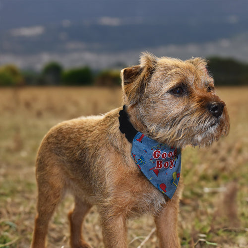 Good Boy - Dog Bandana - 4 Sizes