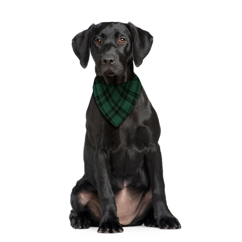 Green Tartan - Dog Bandana - 4 Sizes