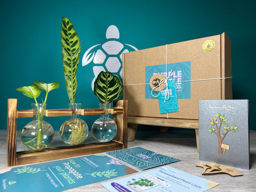 Plant Propagation Gift Set #5
