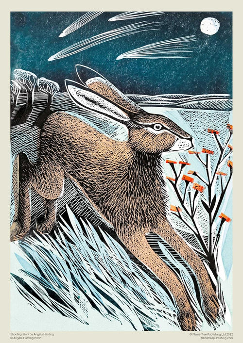 Jigsaw Puzzle Angela Harding: Shooting Stars
