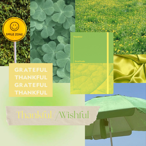 Thankful and Wishful Gratitude Journal, A5 - Green